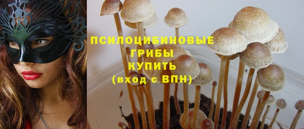 a pvp Алзамай