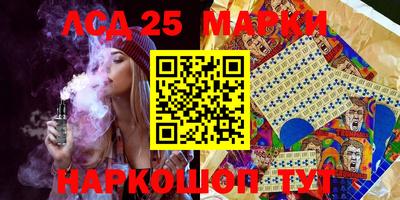СК Новодвинск