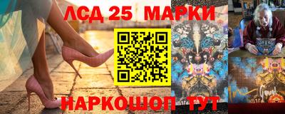 СК Новодвинск