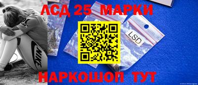 СК Новодвинск