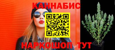 МДПВ Новозыбков