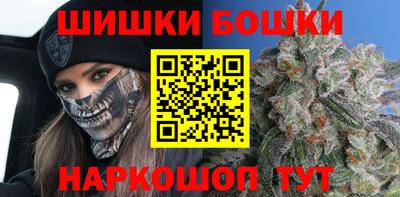 МДПВ Новозыбков