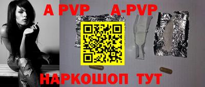 СК Новодвинск