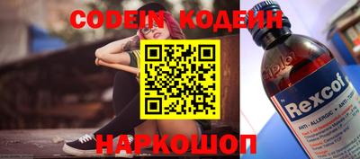 СК Новодвинск