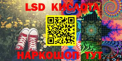 СК Новодвинск