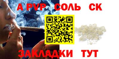 СК Новодвинск