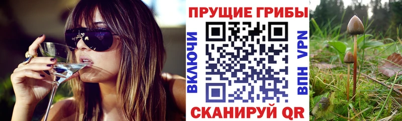 Галлюциногенные грибы мухоморы  Усинск 